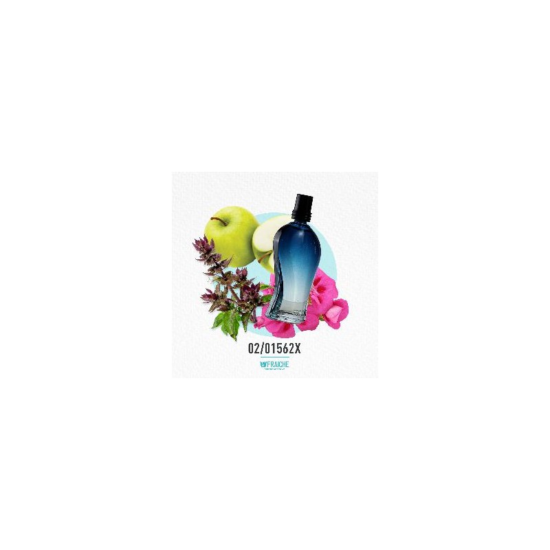 PERFUME CABALLERO AL 33% HGIO A AQUGI ABSO 02/01562X PERSEO 060ML